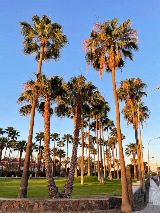 Playa Del Ingles Vitamine D Garantie San Bartolomé المظهر الخارجي الصورة